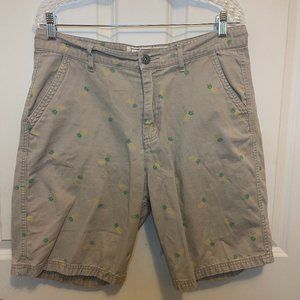 Vintage Genes Shorts Mens 34 W Khaki Pineapple Print Casual Chino